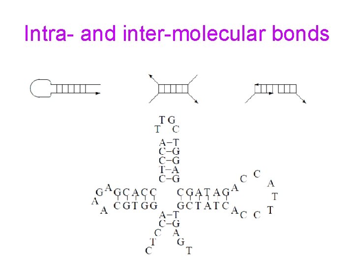 Intra- and inter-molecular bonds 