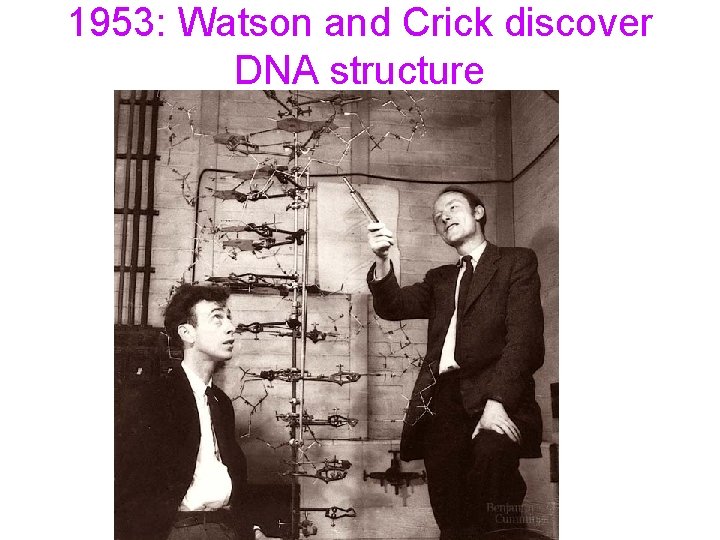 1953: Watson and Crick discover DNA structure 