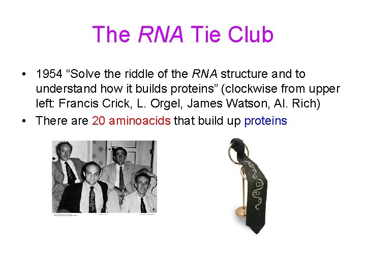 The RNA Tie Club • 1954 “Solve the riddle of the RNA structure and
