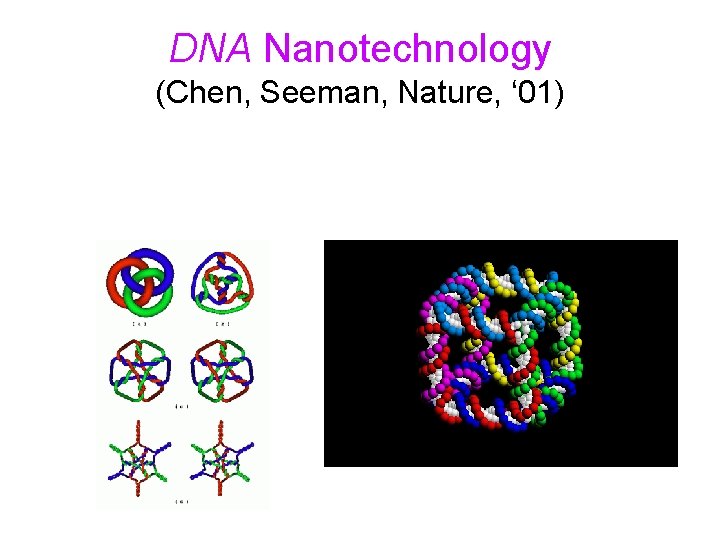 DNA Nanotechnology (Chen, Seeman, Nature, ‘ 01) 