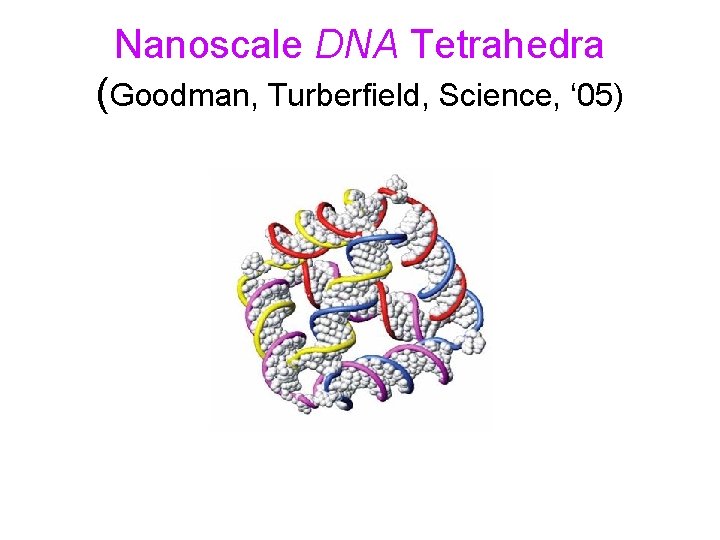 Nanoscale DNA Tetrahedra (Goodman, Turberfield, Science, ‘ 05) 