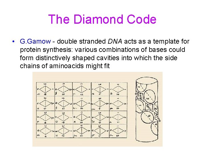 The Diamond Code • G. Gamow - double stranded DNA acts as a template