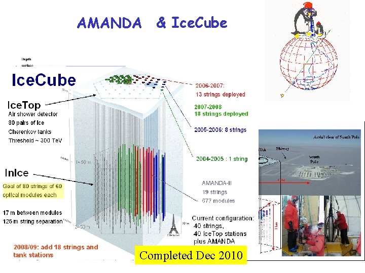 AMANDA & Ice. Cube Completed Dec 2010 