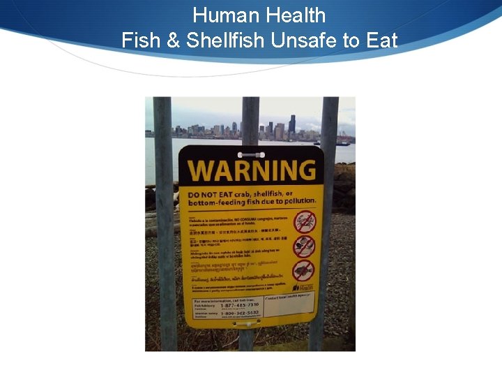 Human Health Fish & Shellfish Unsafe to Eat 