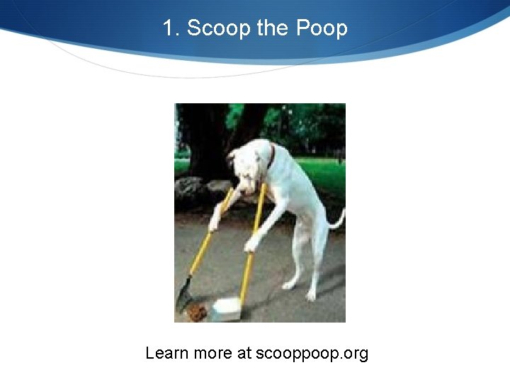 1. Scoop the Poop Learn more at scooppoop. org 