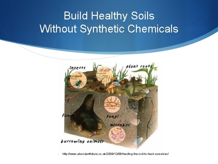 Build Healthy Soils Without Synthetic Chemicals http: //www. abundantfuture. co. uk/2008/12/08/feeding-the-soil-to-feed-ourselves/ 