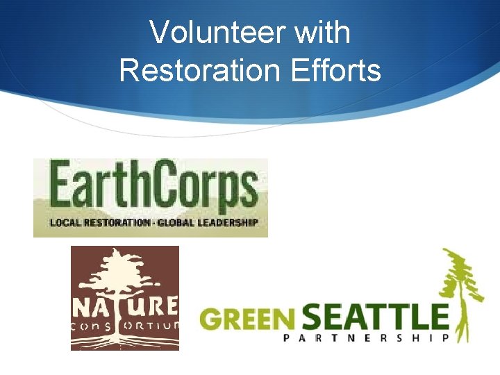 Volunteer with Restoration Efforts 