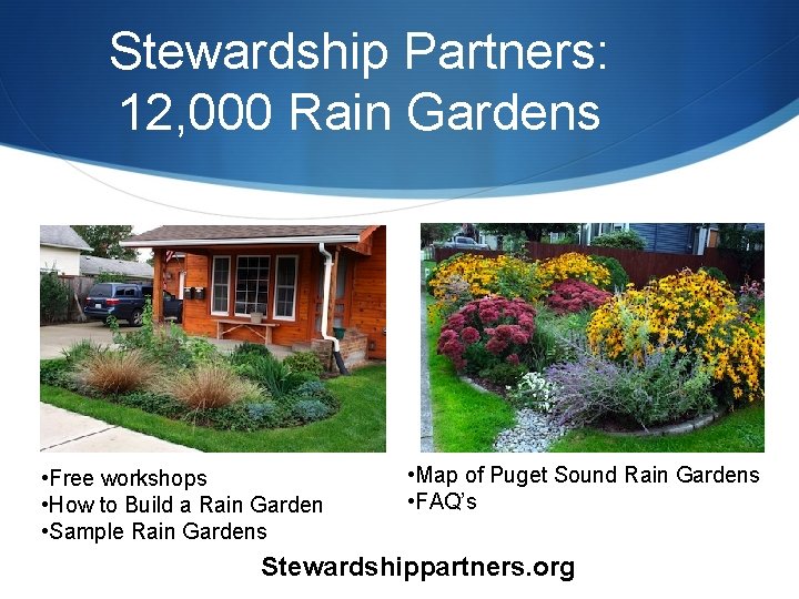 Stewardship Partners: 12, 000 Rain Gardens • Free workshops • How to Build a