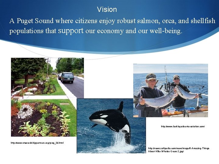 Vision A Puget Sound where citizens enjoy robust salmon, orca, and shellfish populations that