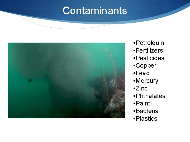 Contaminants • Petroleum • Fertilizers • Pesticides • Copper • Lead • Mercury •