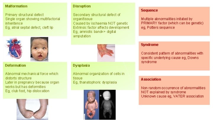 Genetics 1 7 Noura Houbby Congenital defects explain