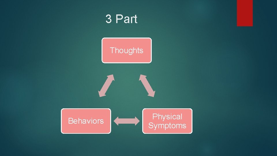 3 Part Thoughts Behaviors Physical Symptoms 