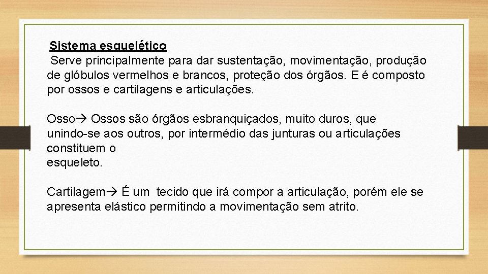 Sistema esquelético Serve principalmente para dar sustentação, movimentação, produção de glóbulos vermelhos e brancos,