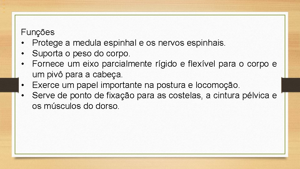 Funções • Protege a medula espinhal e os nervos espinhais. • Suporta o peso