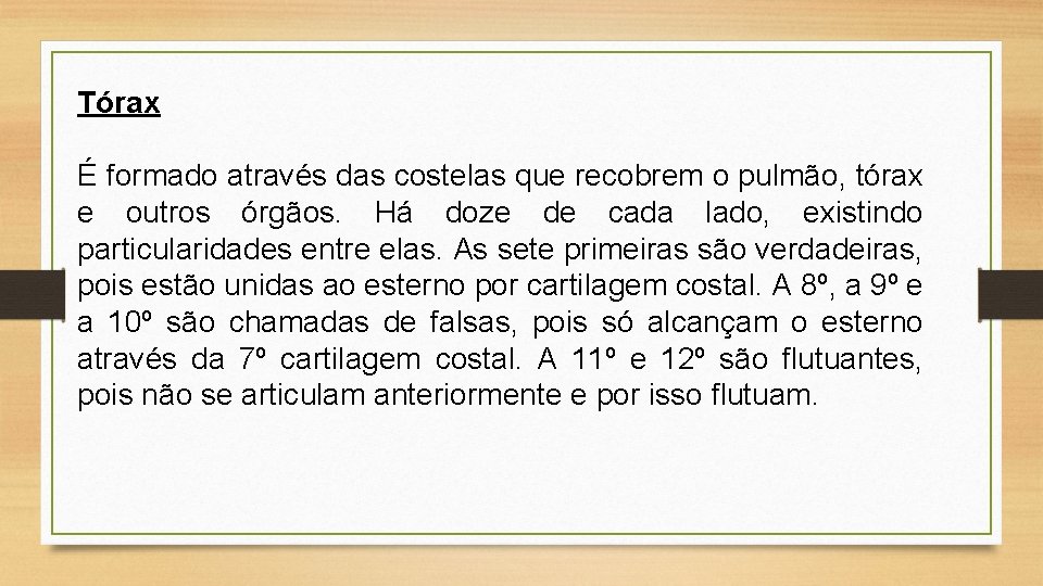 Tórax É formado através das costelas que recobrem o pulmão, tórax e outros órgãos.