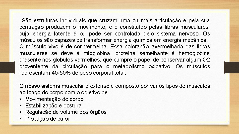 São estruturas individuais que cruzam uma ou mais articulação e pela sua contração produzem