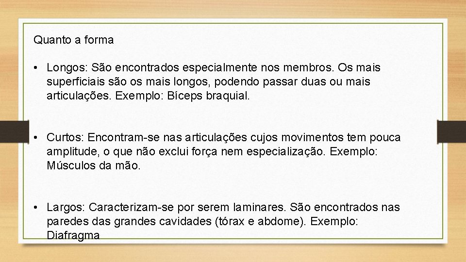 Quanto a forma • Longos: São encontrados especialmente nos membros. Os mais superficiais são