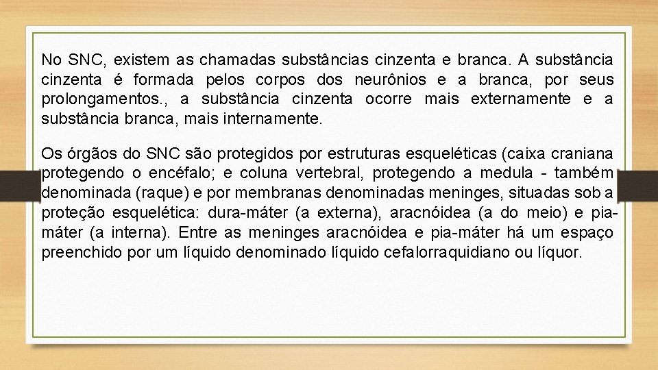 No SNC, existem as chamadas substâncias cinzenta e branca. A substância cinzenta é formada