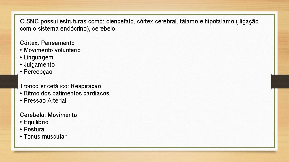 O SNC possui estruturas como: diencefalo, córtex cerebral, tálamo e hipotálamo ( ligação com