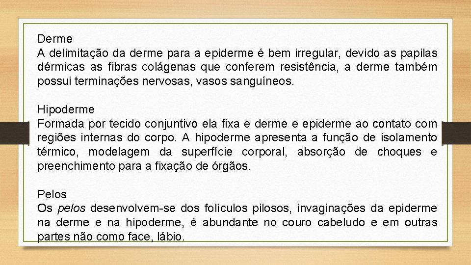 Derme A delimitação da derme para a epiderme é bem irregular, devido as papilas