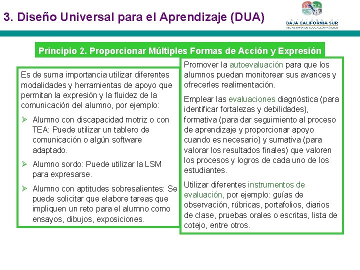 3. Diseño Universal para el Aprendizaje (DUA) Principio 2. Proporcionar Múltiples Formas de Acción