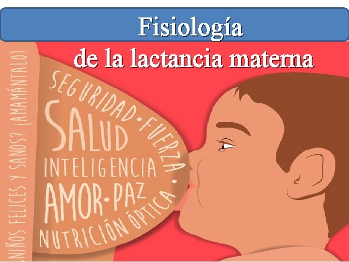 Fisiología de la lactancia materna Lactancia materna Carlos Cevallos Ch. 