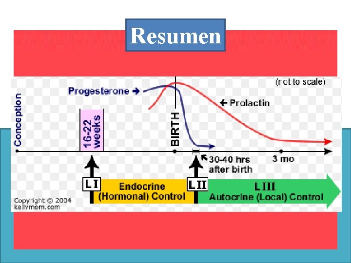 Resumen 