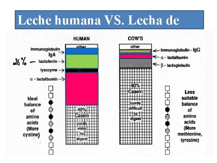 Leche humana VS. Lecha de vaca 