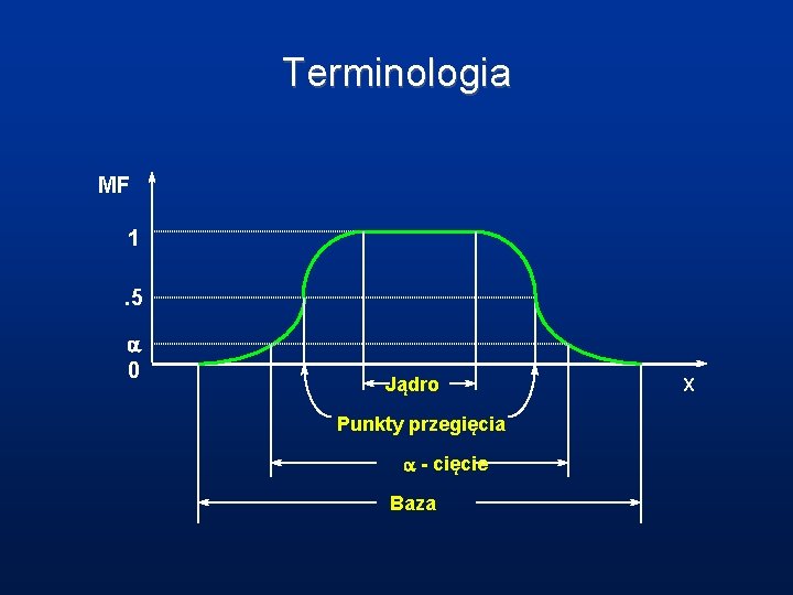 Terminologia MF 1. 5 a 0 Jądro Punkty przegięcia a - cięcie Baza X