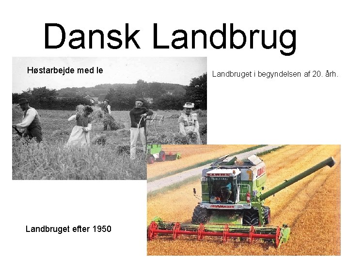 Dansk Landbrug Høstarbejde med le Landbruget efter 1950 Landbruget i begyndelsen af 20. årh.