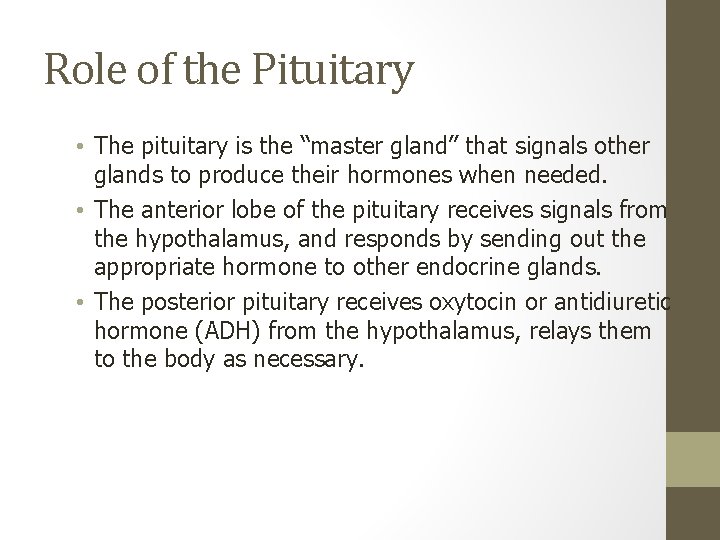 Role of the Pituitary • The pituitary is the “master gland” that signals other