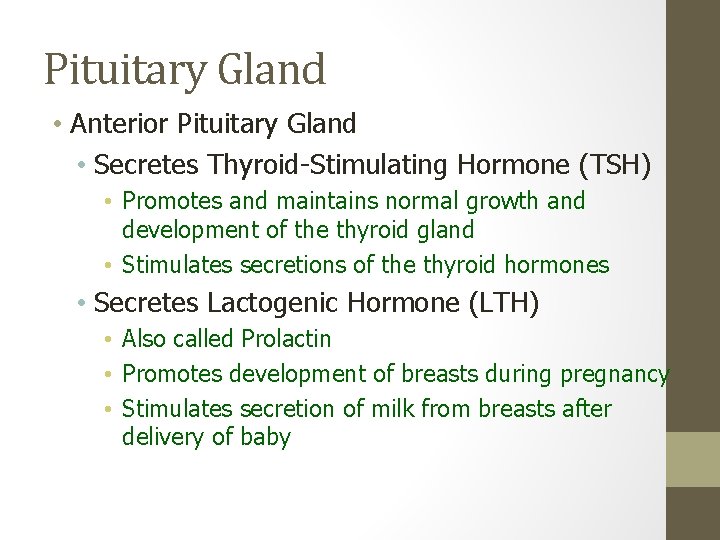 Pituitary Gland • Anterior Pituitary Gland • Secretes Thyroid-Stimulating Hormone (TSH) • Promotes and