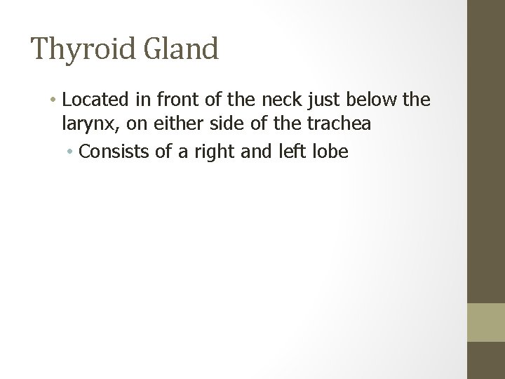 Thyroid Gland • Located in front of the neck just below the larynx, on
