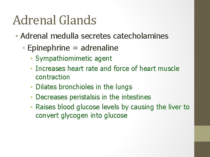 Adrenal Glands • Adrenal medulla secretes catecholamines • Epinephrine = adrenaline • Sympathiomimetic agent