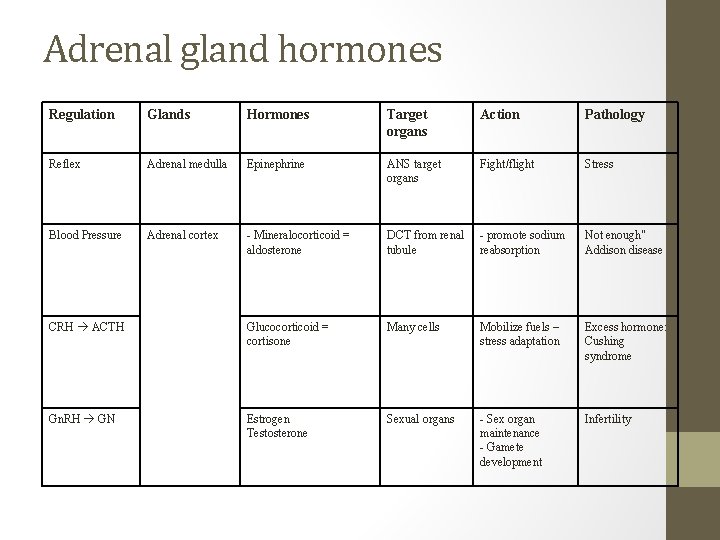 Adrenal gland hormones Regulation Glands Hormones Target organs Action Pathology Reflex Adrenal medulla Epinephrine