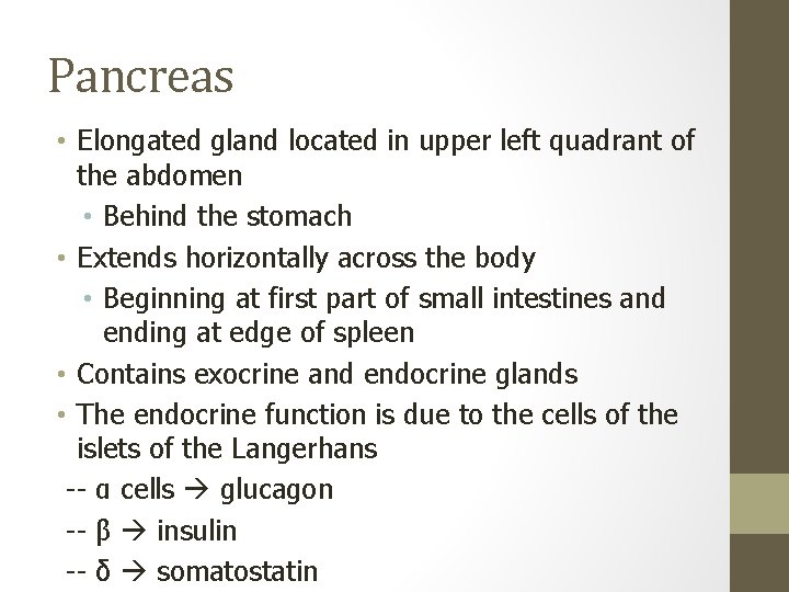 Pancreas • Elongated gland located in upper left quadrant of the abdomen • Behind