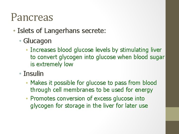 Pancreas • Islets of Langerhans secrete: • Glucagon • Increases blood glucose levels by