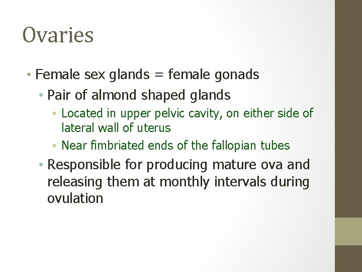 Ovaries • Female sex glands = female gonads • Pair of almond shaped glands