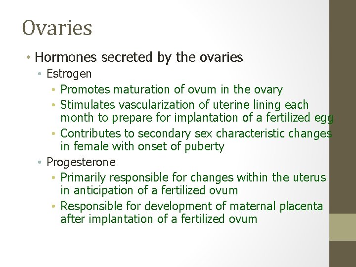 Ovaries • Hormones secreted by the ovaries • Estrogen • Promotes maturation of ovum