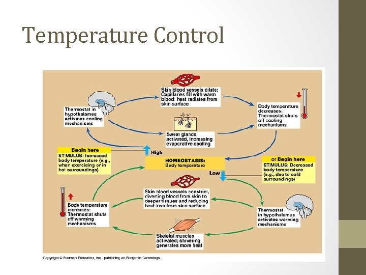 Temperature Control 