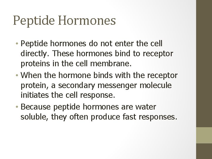 Peptide Hormones • Peptide hormones do not enter the cell directly. These hormones bind