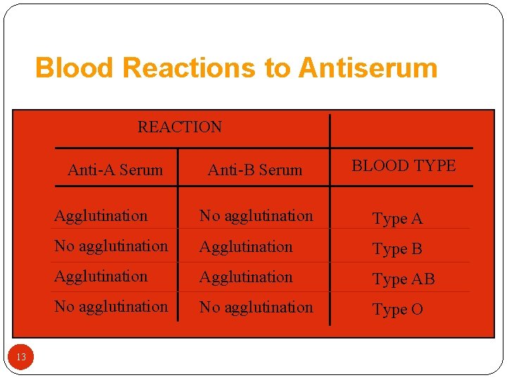 Blood Reactions to Antiserum REACTION Anti-A Serum 13 Anti-B Serum BLOOD TYPE Agglutination No