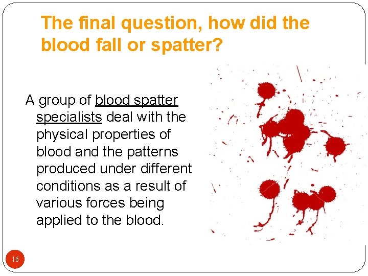 The final question, how did the blood fall or spatter? A group of blood