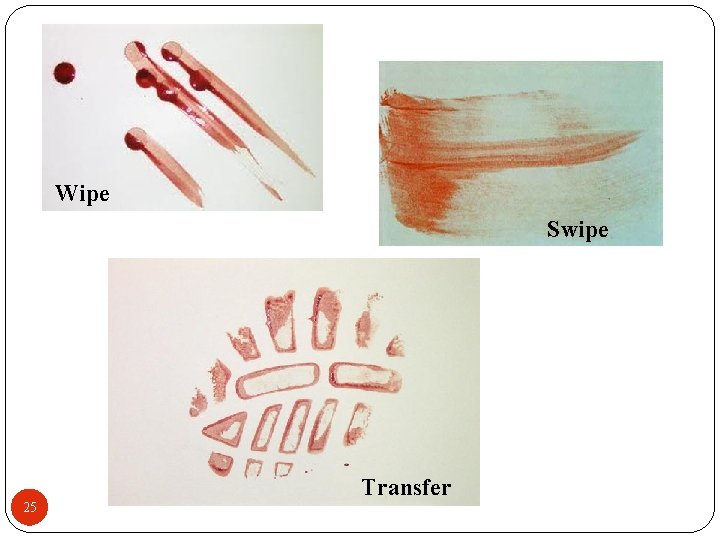Wipe Swipe 25 Transfer 