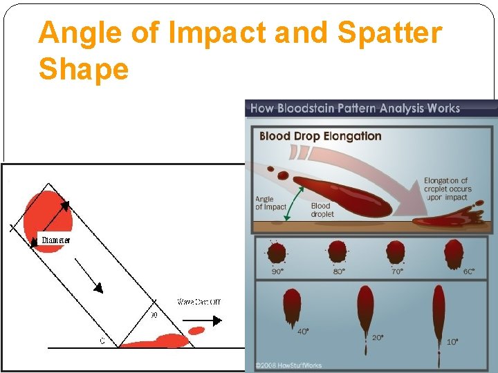 Angle of Impact and Spatter Shape 33 