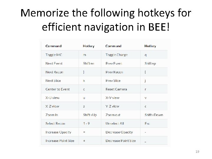 Memorize the following hotkeys for efficient navigation in BEE! 19 