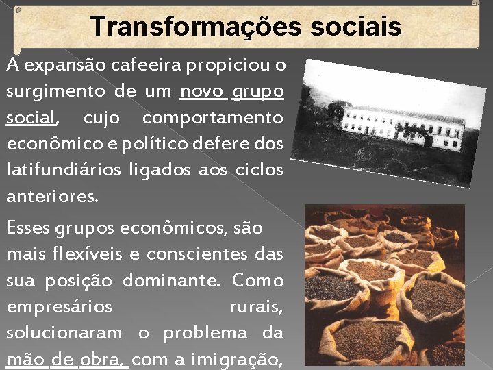 Transformações sociais A expansão cafeeira propiciou o surgimento de um novo grupo social, cujo