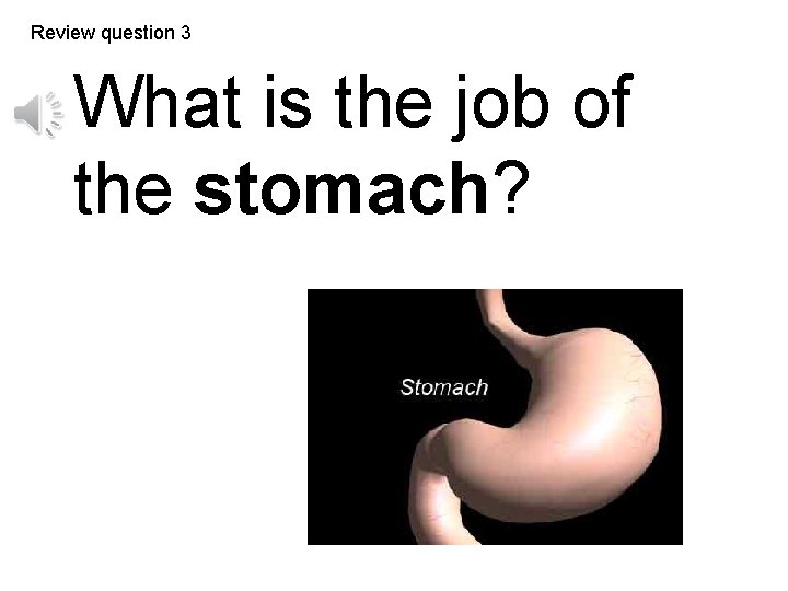 Review question 3 What is the job of the stomach? 