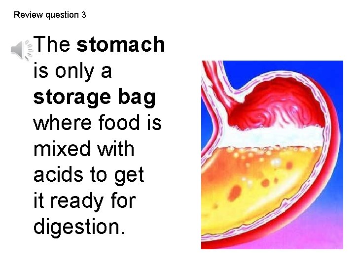 Review question 3 The stomach is only a storage bag where food is mixed