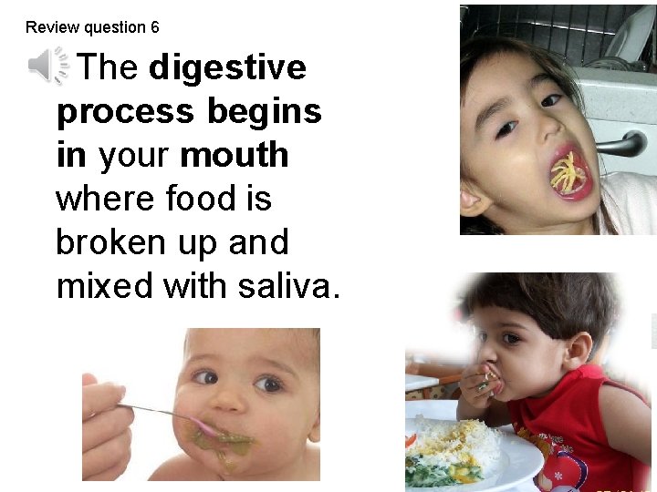 Review question 6 The digestive process begins in your mouth where food is broken